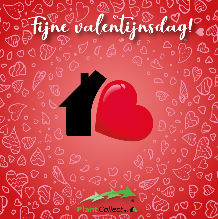 Afbeelding voor categorie Fijne valentijnsdag!